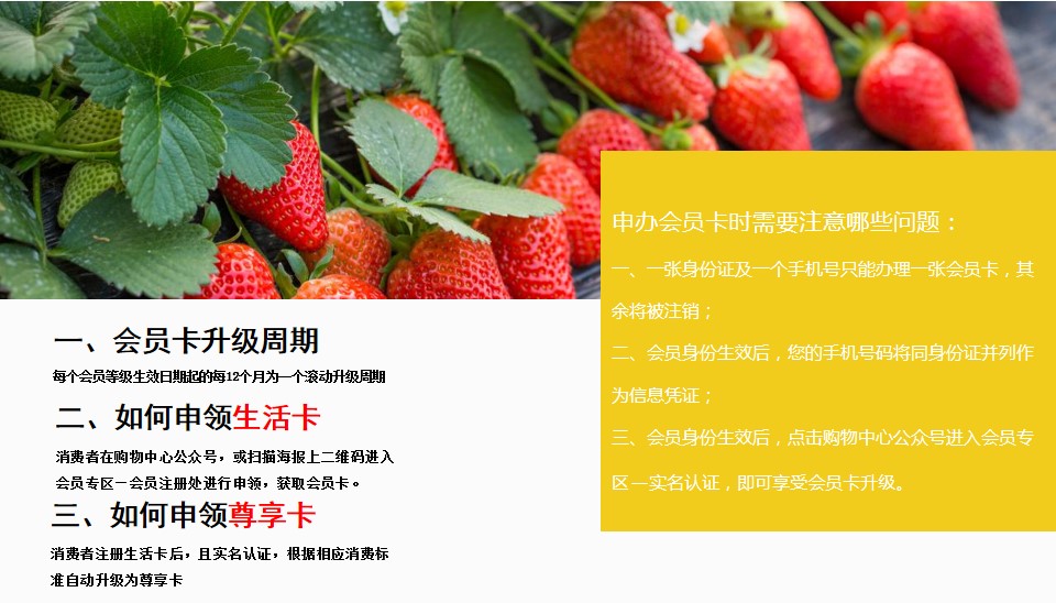 1691547506 dcfa053177d01f6 - 地产项目商业综合体商业购物中心会员招募计划方案商业地产会员