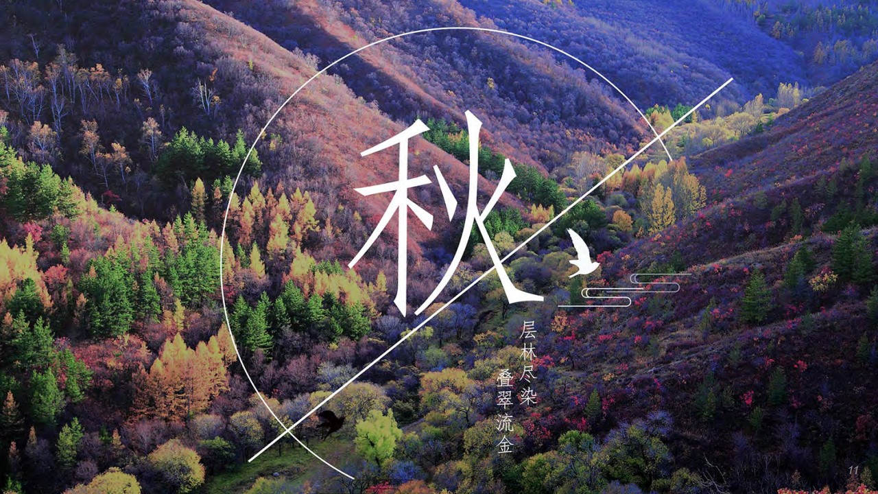 1692694032 0f927bc20e699d3 - 青山国际旅游度假区推介方案