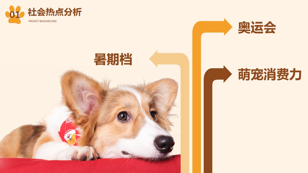 1693362378 b207e1016ea0a91 - 宠爱计划购物中心宠物展活动策划方案