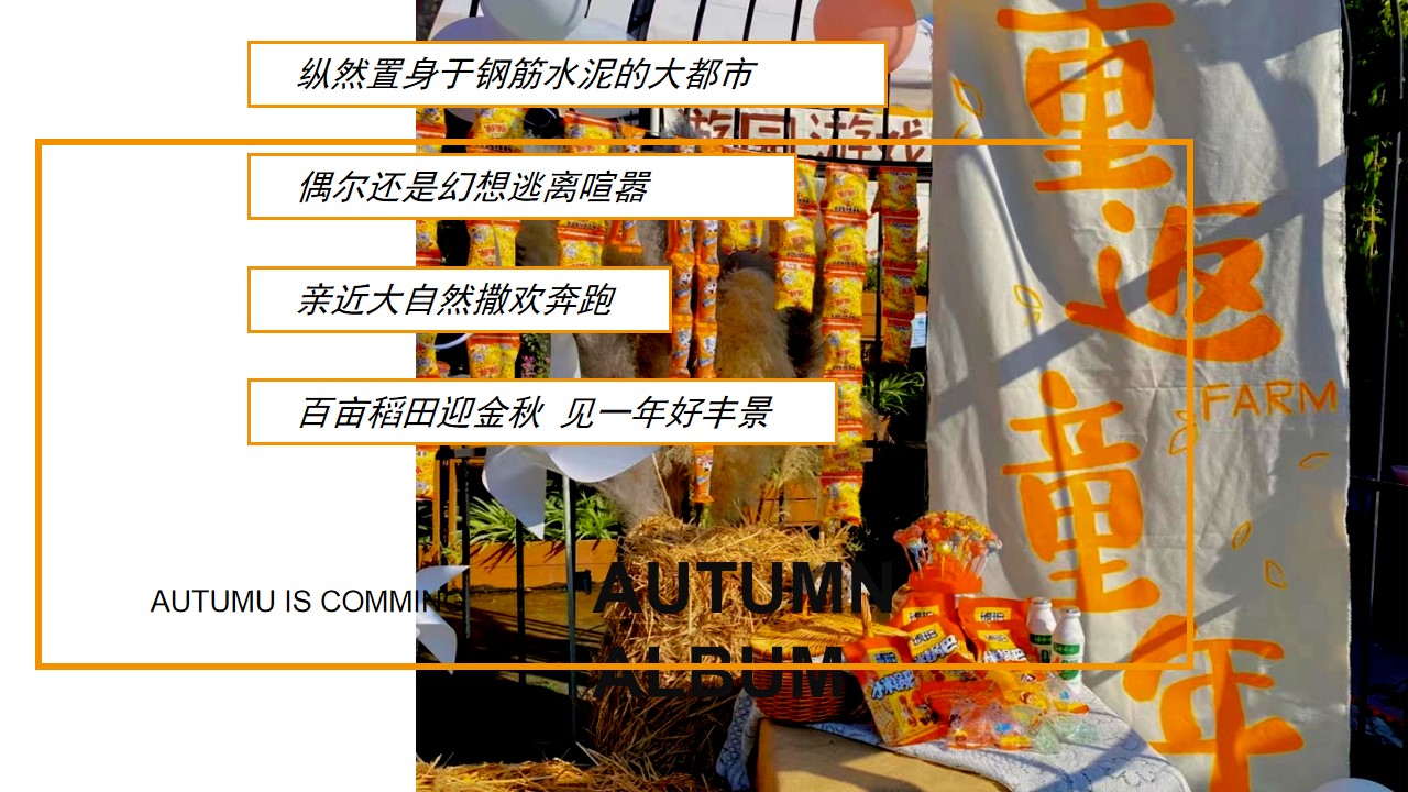 1693893452 a226fd4163bf13c - 遇见秋日季 探索新趣意秋季主题户外农场秋收体验嘉年华活动策划方案