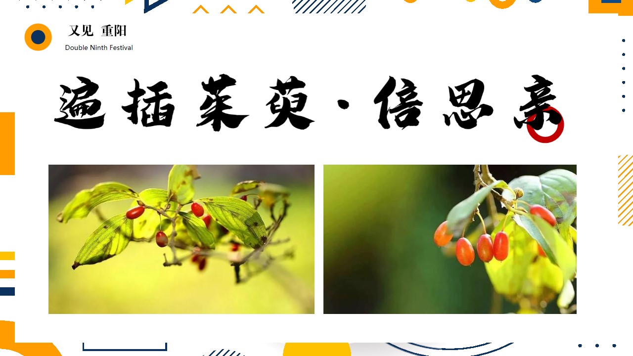 1697783332 b207e1016ea0a91 - 地产项目社区重阳节亲子系列（又见重阳主题）活动策划方案