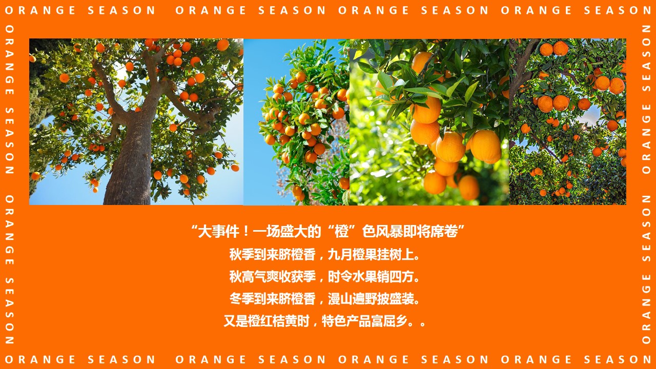 1698038141 50e3092c82ce78d - 龙湖橙心橙意金秋答谢橙子事件营销橙色系助农主题活动