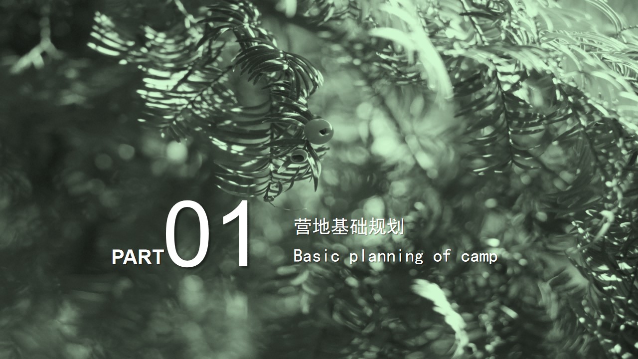 1699328818 50e3092c82ce78d - 文旅景区露营活动基地规划方案