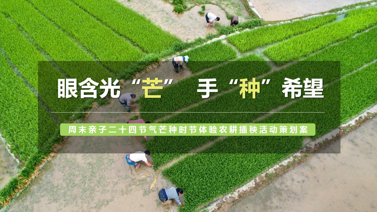 1699860027 561051a510bdcc5 - 周末亲子二十四节气芒种时节体验农耕插秧活动策划案
