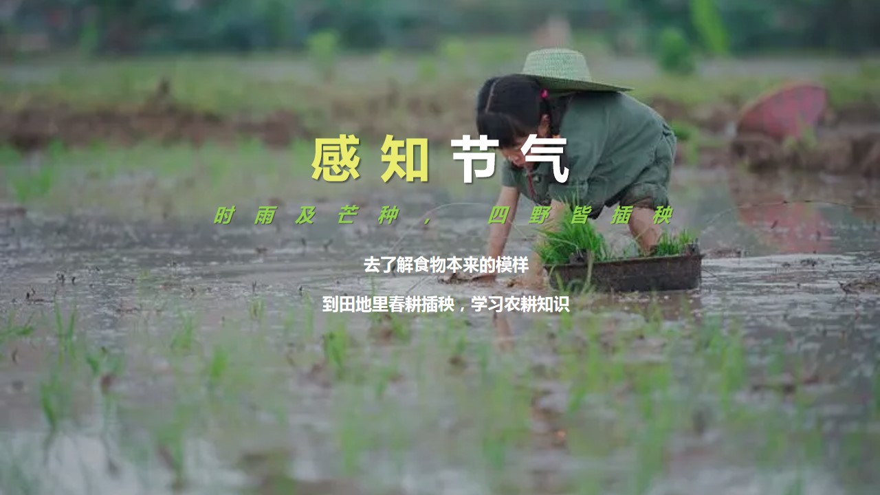 1699860077 dcfa053177d01f6 - 周末亲子二十四节气芒种时节体验农耕插秧活动策划案