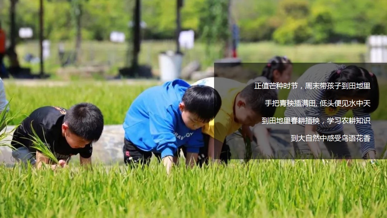 1699860134 0f927bc20e699d3 - 周末亲子二十四节气芒种时节体验农耕插秧活动策划案