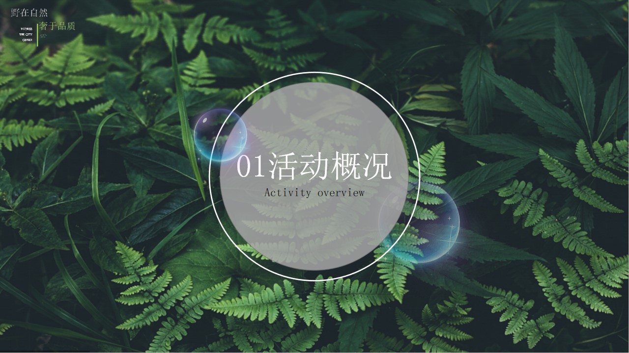 1699860879 42598eae9c79557 - 云屯-树屋开业酒会服务策划定稿