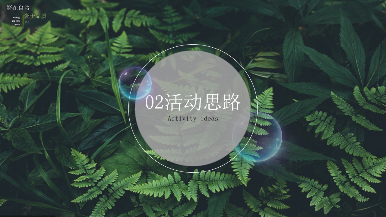 1699860900 0f927bc20e699d3 - 云屯-树屋开业酒会服务策划定稿