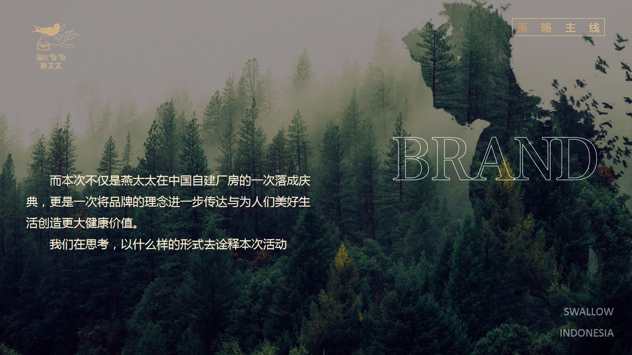1699861849 a226fd4163bf13c - 商业品牌发布会庆典活动策划方案