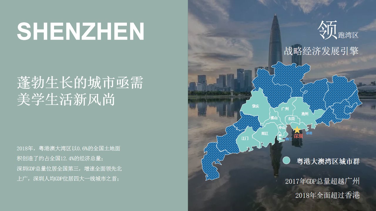 1700029696 d14efb4b491c1b2 - 万象前海FORESEA推介方案