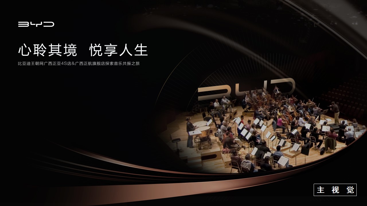 1700804678 d14efb4b491c1b2 - 比亚迪交响音乐会活动方案