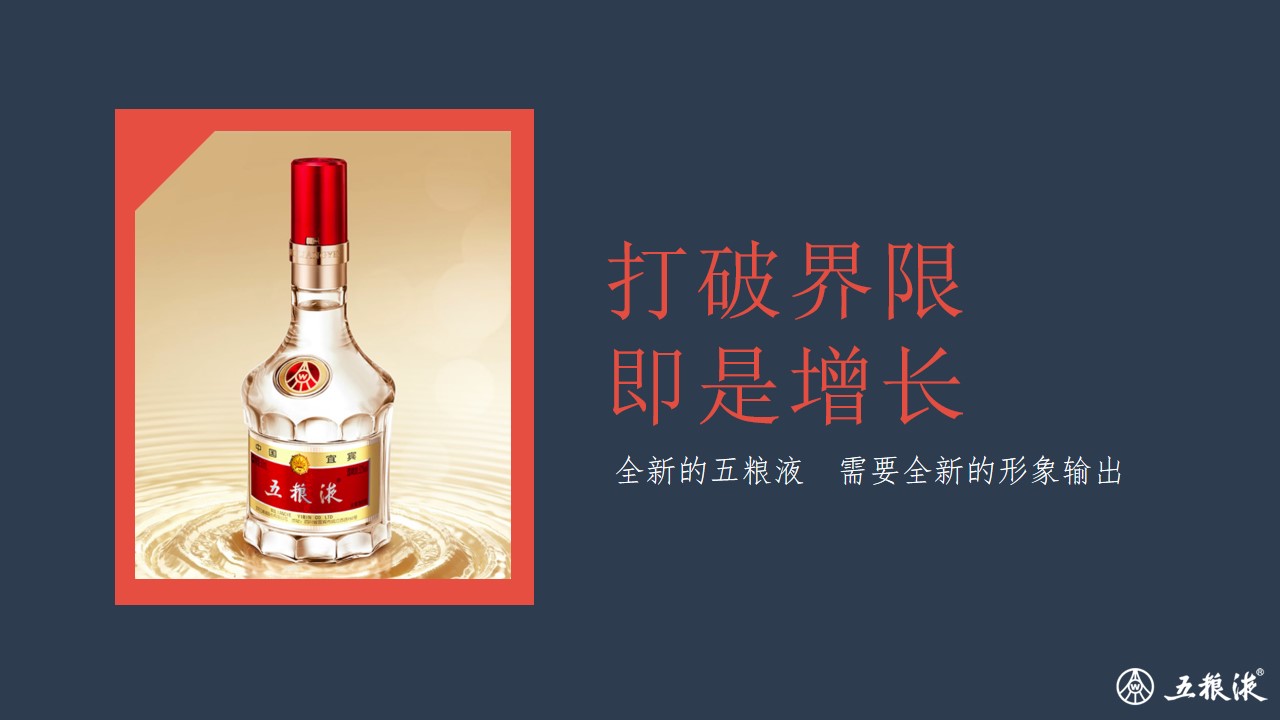 1702876417 dcfa053177d01f6 - 五粮液x故宫品牌传播规划