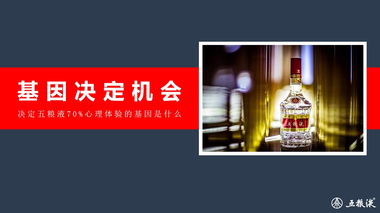 1702876452 0f927bc20e699d3 - 五粮液x故宫品牌传播规划