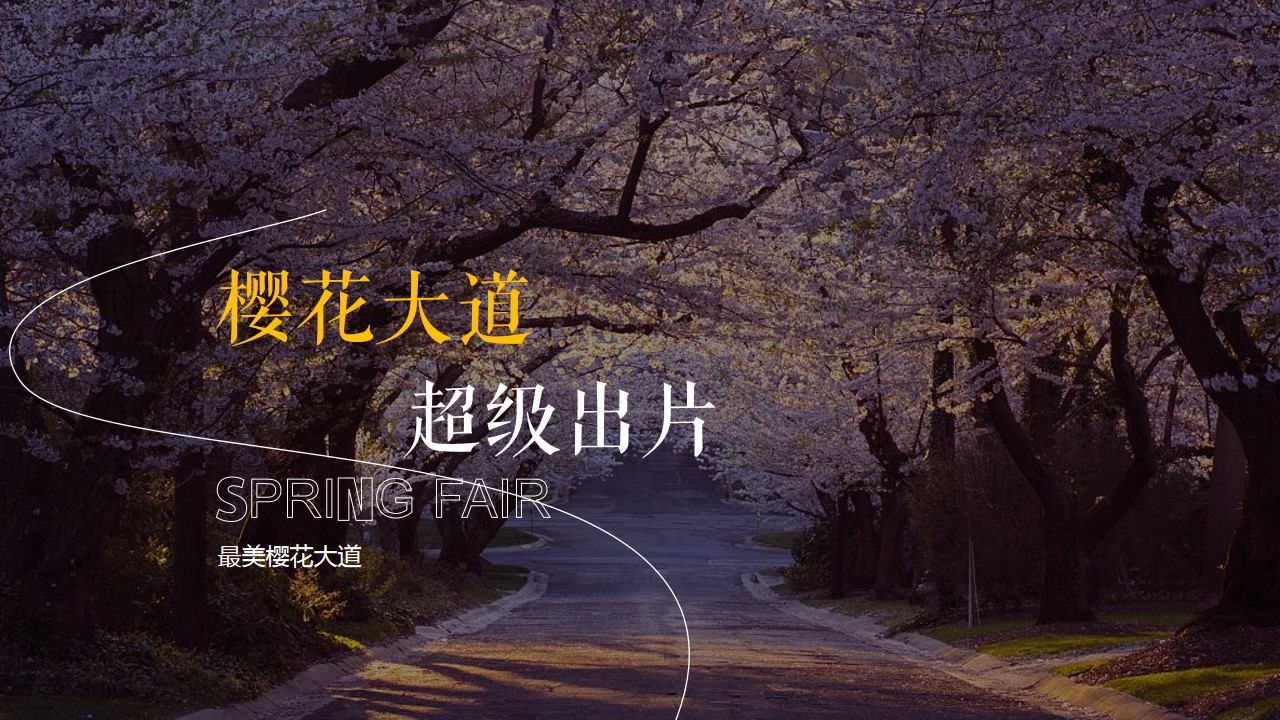 1705375241 a226fd4163bf13c - 春季樱花集市暨样板间开放樱花下白麓集主题活动策划方案