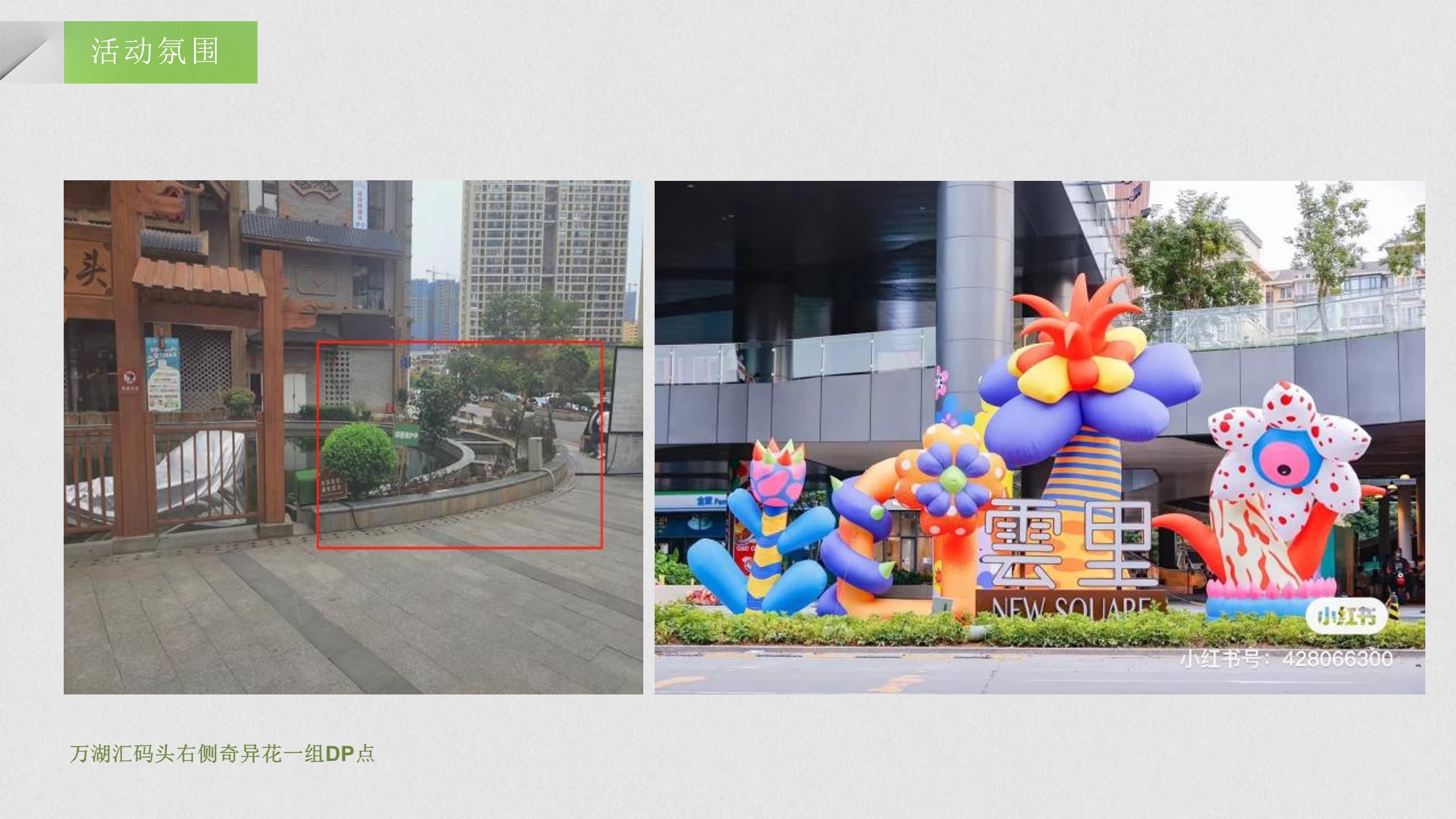 1706670392 d14efb4b491c1b2 - 春日集市·一起去看花商业广场月度活动策划方案