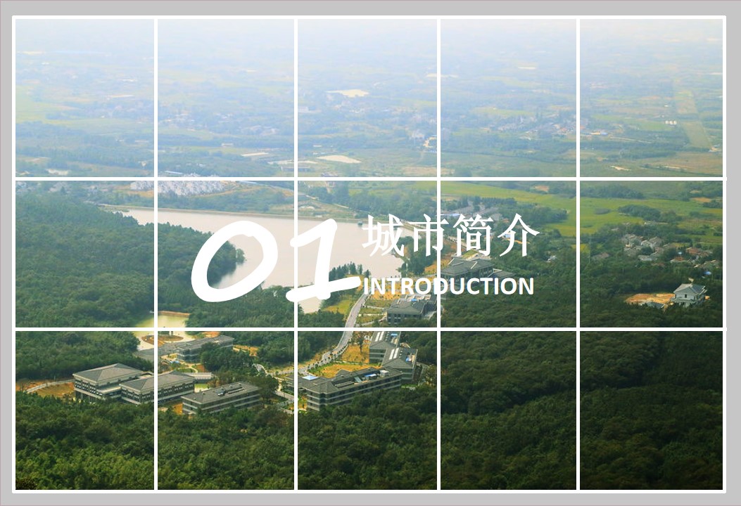 1707117485 dcfa053177d01f6 - 义台街招商手册