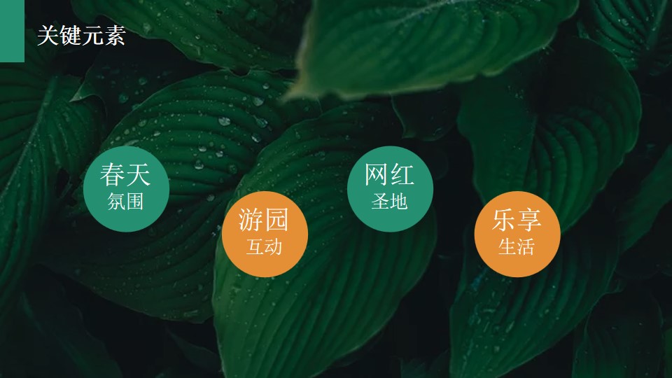 1709024856 a226fd4163bf13c - 春天玩乐会拾趣好时光-商场地产汽车行业季3月4月暖场活动