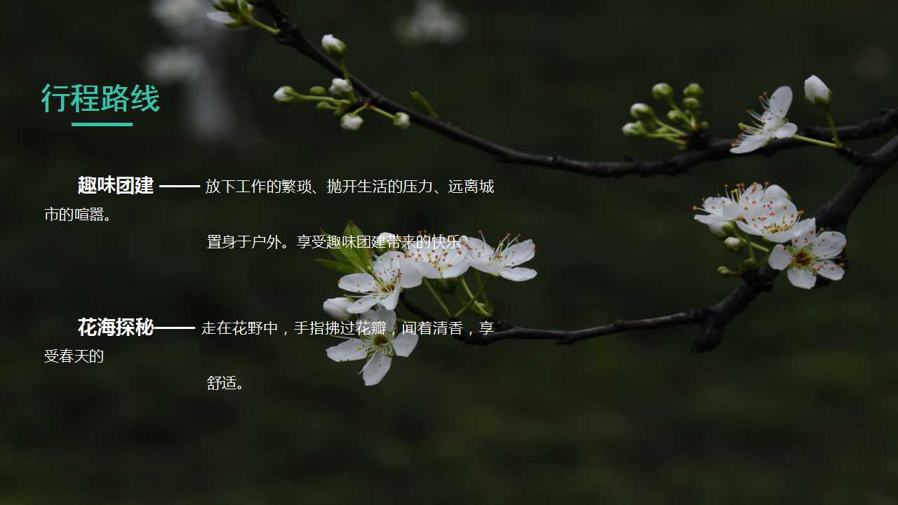 1709877262 b207e1016ea0a91 - ”趣踏青 趣团建“户外露营春天主题团建活动方案