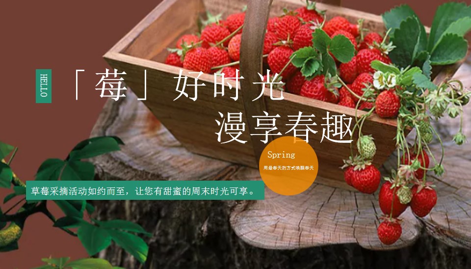 1710124604 561051a510bdcc5 - 莓采摘主题活动房地产暖场活动活动策划方案