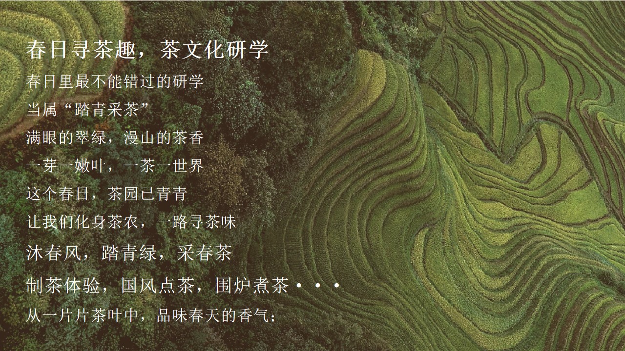 1710731158 a226fd4163bf13c - 踏青采茶茶艺研学（清明五一团建亲子研学春季踏青采茶）
