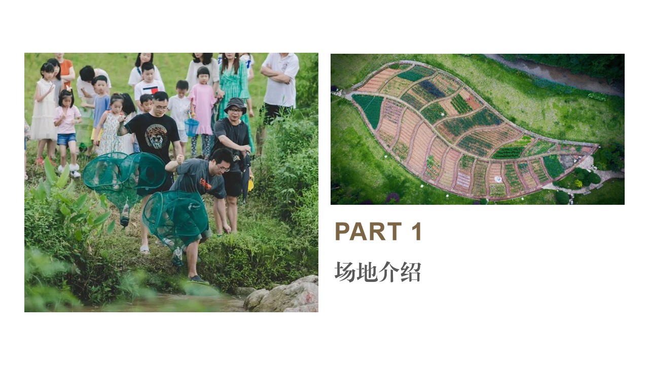 1710989239 b207e1016ea0a91 - 亲子休闲娱乐公司团建向往的生活家庭日活动策划方案