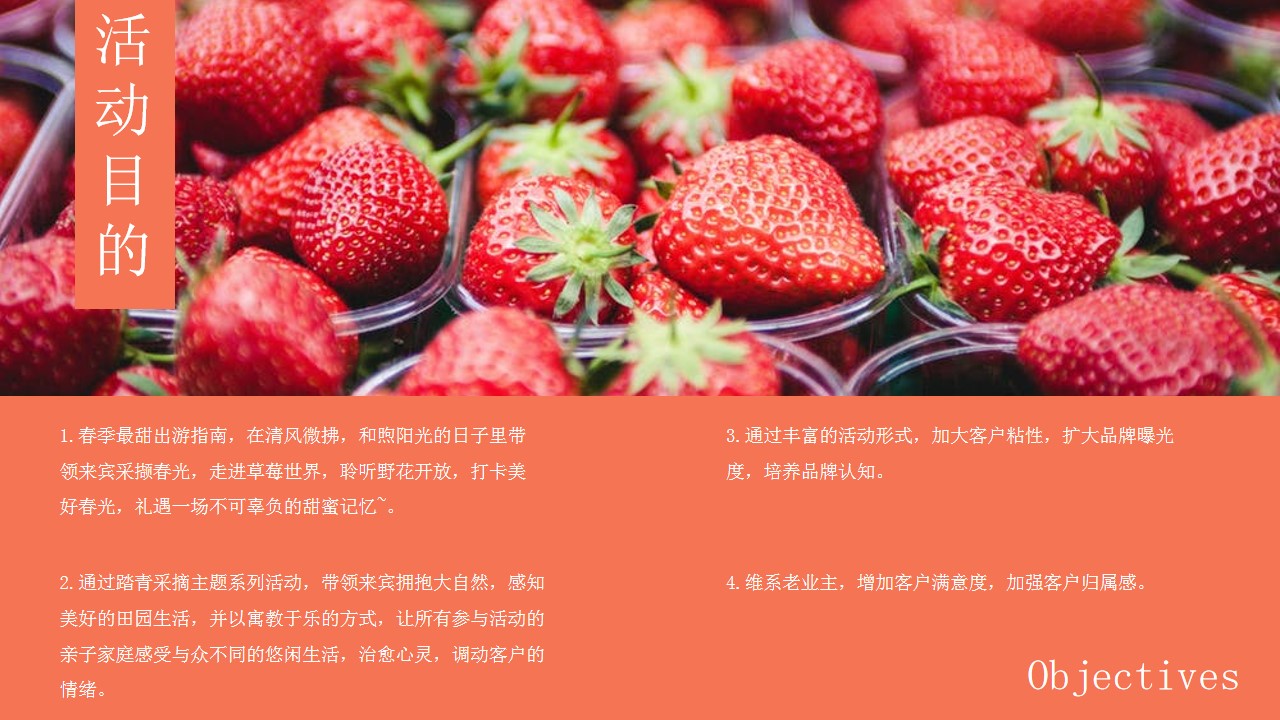 1711338243 42598eae9c79557 - “采撷春光相约莓好”春日草莓采摘田园踏青户外郊游农夫市集方案
