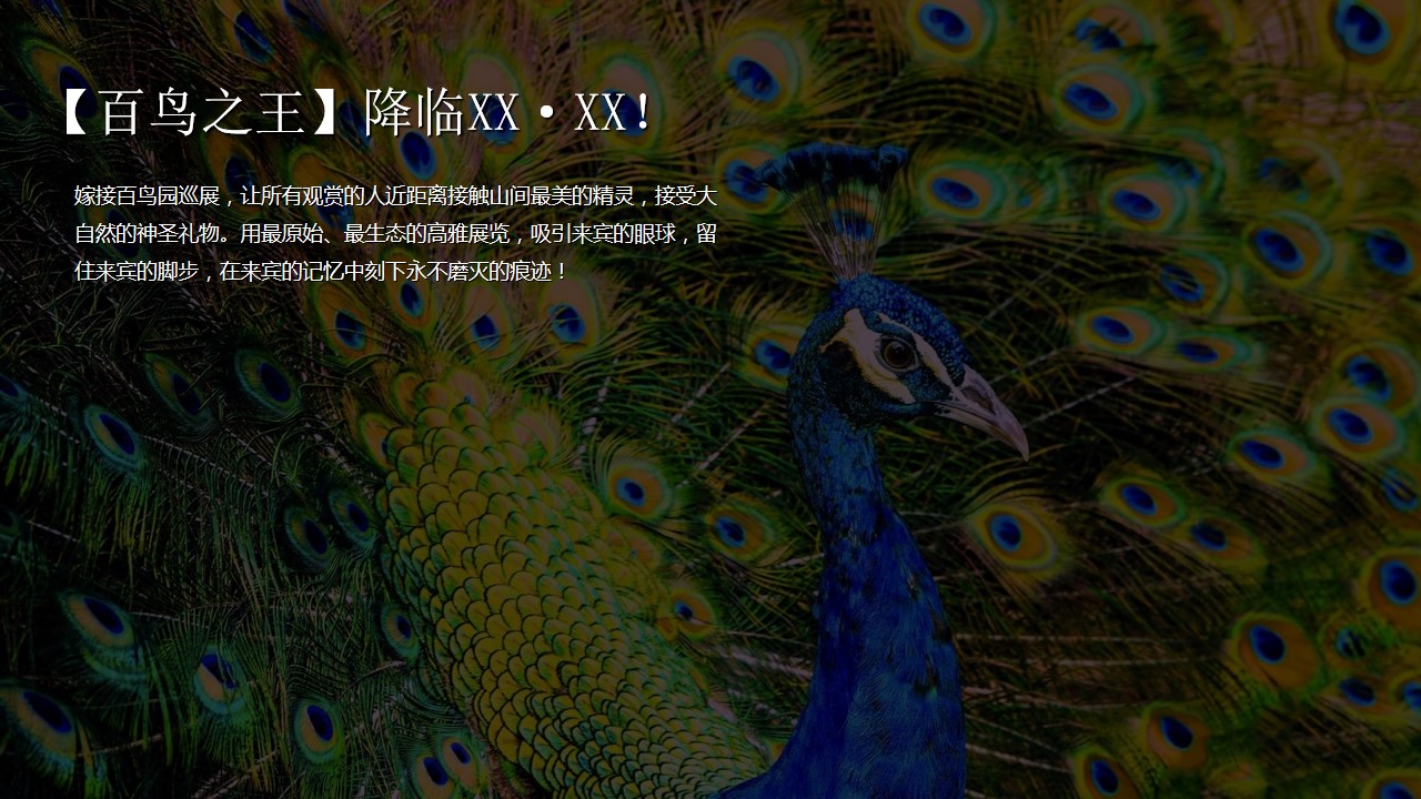 1711693606 50e3092c82ce78d - 五一地产（雀鸣启盛世 百鸟入尚都）主题展活动方案