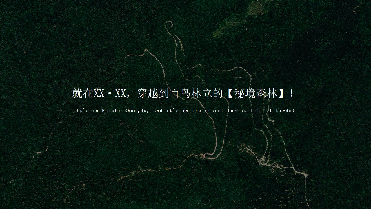 1711693614 dcfa053177d01f6 - 五一地产（雀鸣启盛世 百鸟入尚都）主题展活动方案