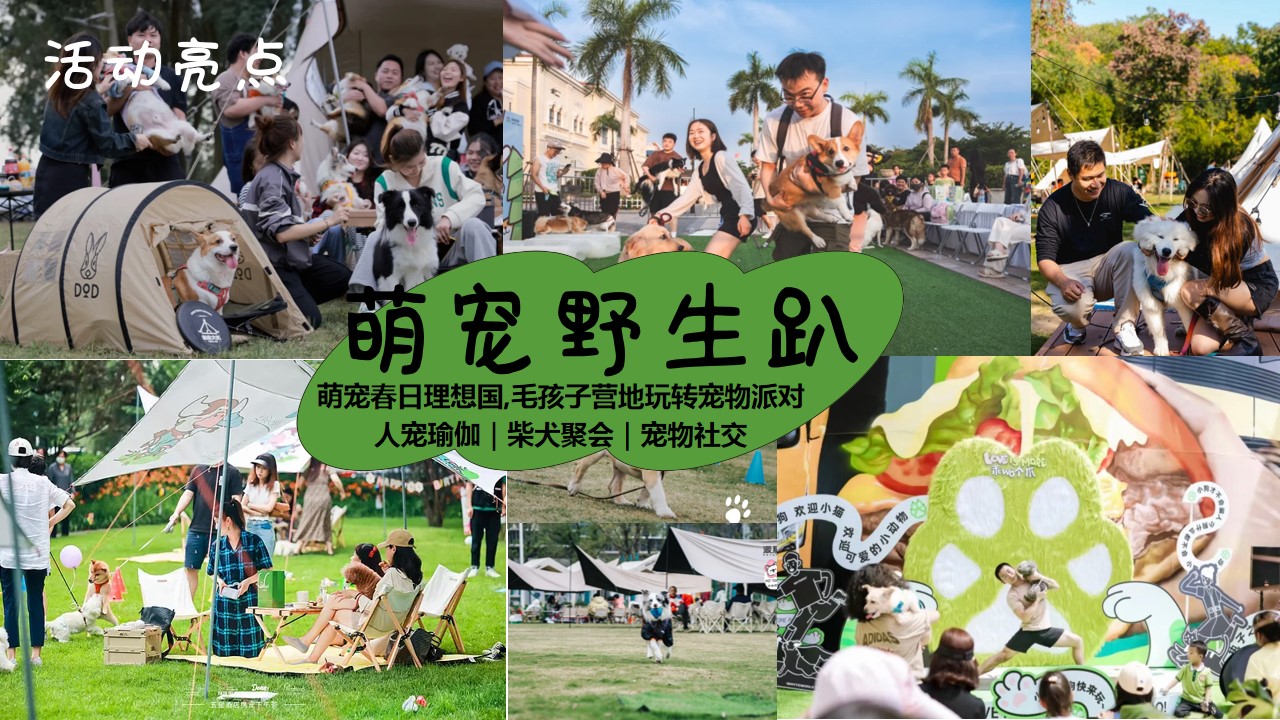 1712111985 0f927bc20e699d3 - 宠物派对五一乐反天露营趴圈层互动方案