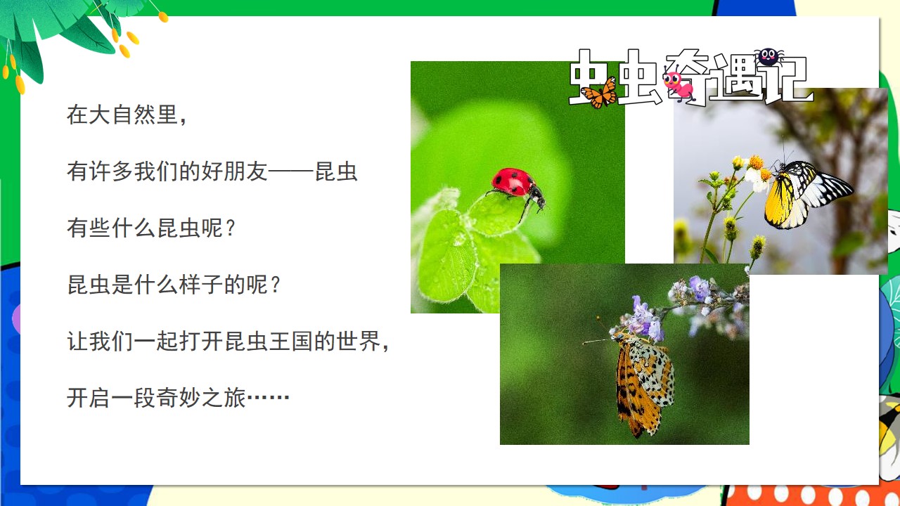 1712113219 dcfa053177d01f6 - 昆虫主题嘉年华商业地产游园会（虫虫奇遇记）活动策划方案