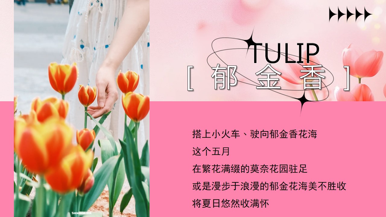 1712546593 dcfa053177d01f6 - 五月月度郁金香展主题地产嘉年华（浪漫五月_郁见你）活动策划方案