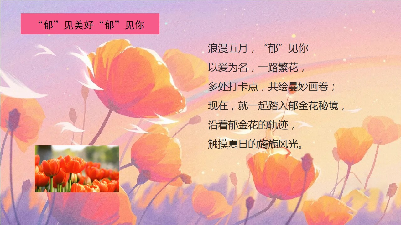 1712546599 a226fd4163bf13c - 五月月度郁金香展主题地产嘉年华（浪漫五月_郁见你）活动策划方案