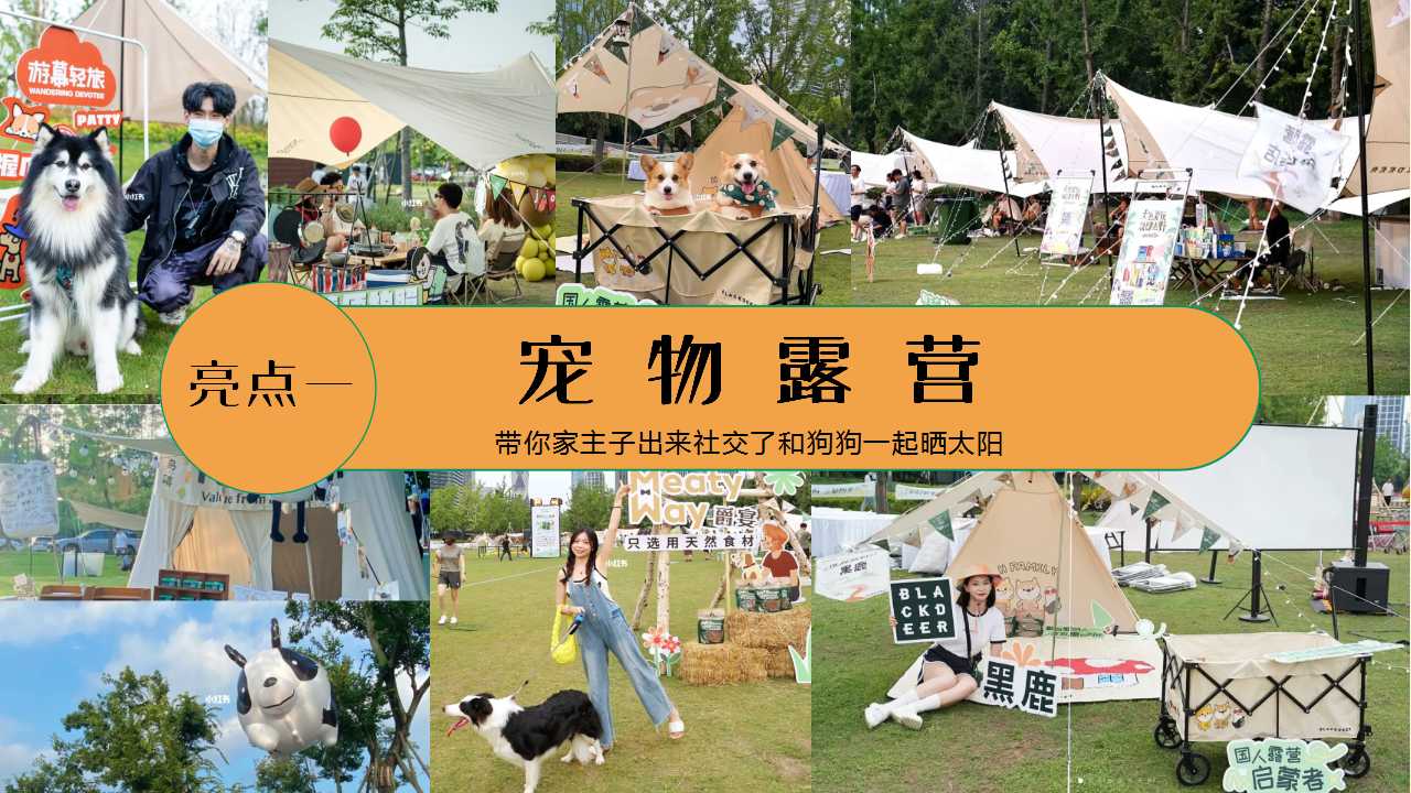 1713408525 0f927bc20e699d3 - 萌宠派对五一乐反天露营趴活动方案