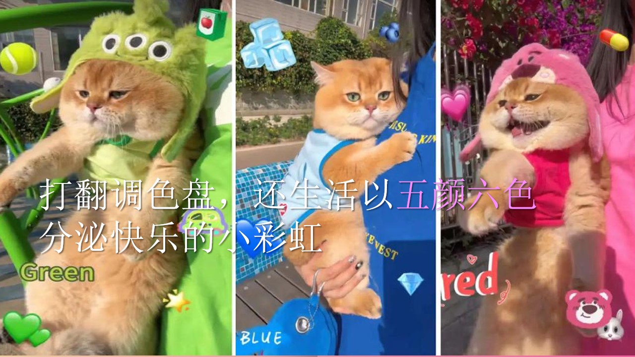 1714013291 a226fd4163bf13c - 地产多巴胺燥热营端午主题游园会活动策划案