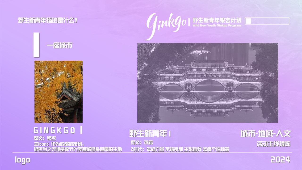 1715231466 dcfa053177d01f6 - 夏日特别企划-野生新青年音乐节电音节文娱活动策划方案
