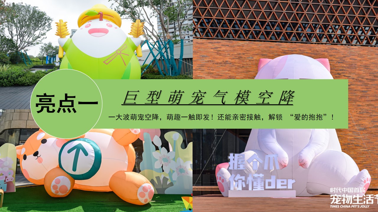 1715571196 b207e1016ea0a91 - 端午节萌宠市集围炉冰茶（萌宠嘉年华·粽享趣时光）暖场方案