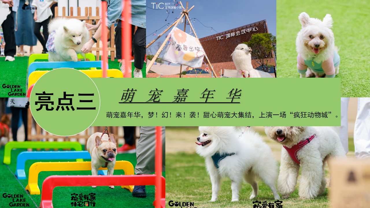 1715571212 d14efb4b491c1b2 - 端午节萌宠市集围炉冰茶（萌宠嘉年华·粽享趣时光）暖场方案
