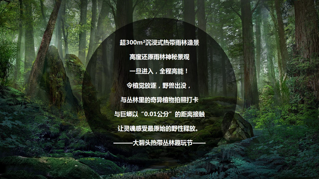 1715828929 a226fd4163bf13c - 住房地产音乐节（探索秘境·玩转丛林）嘉年华主题活动方案