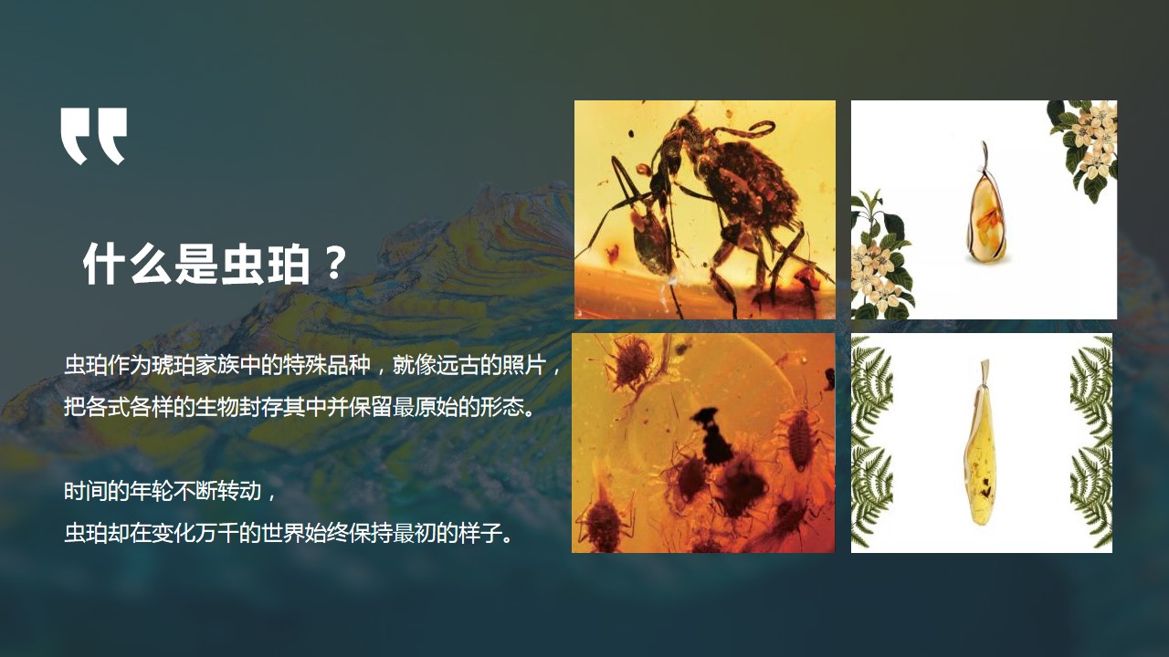 1723084046 0f927bc20e699d3 - 自然科普嘉年华活动策划方案