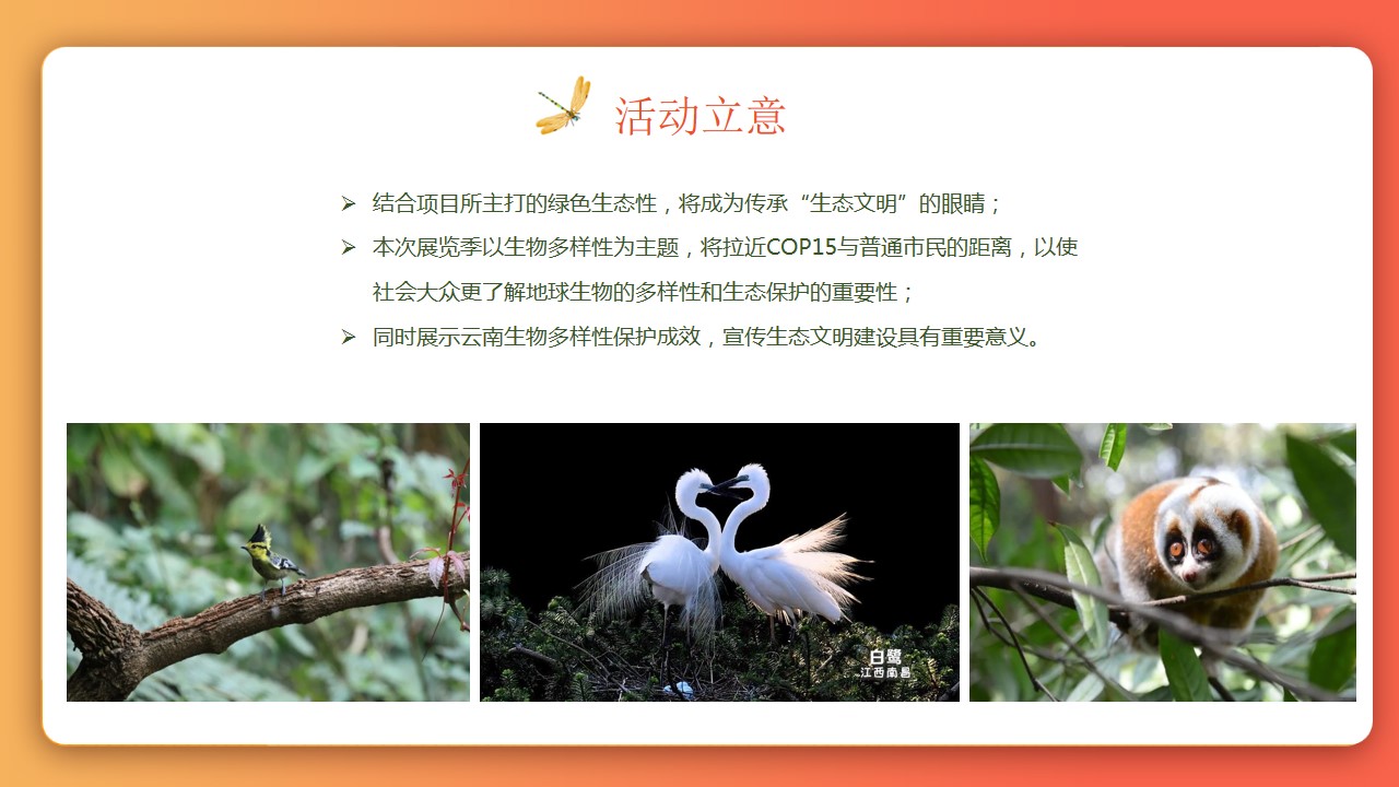 1725852088 b207e1016ea0a91 - 中秋国庆生物多样性儿童学习科普昆虫展暖场地产嘉年华方案