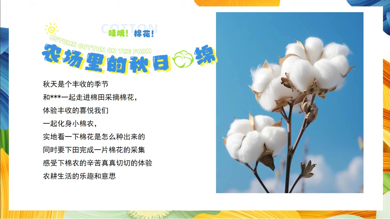 1728524772 a226fd4163bf13c - “秋日棉棉 FUN享快乐”秋收棉花主题研学系列活动策划方案