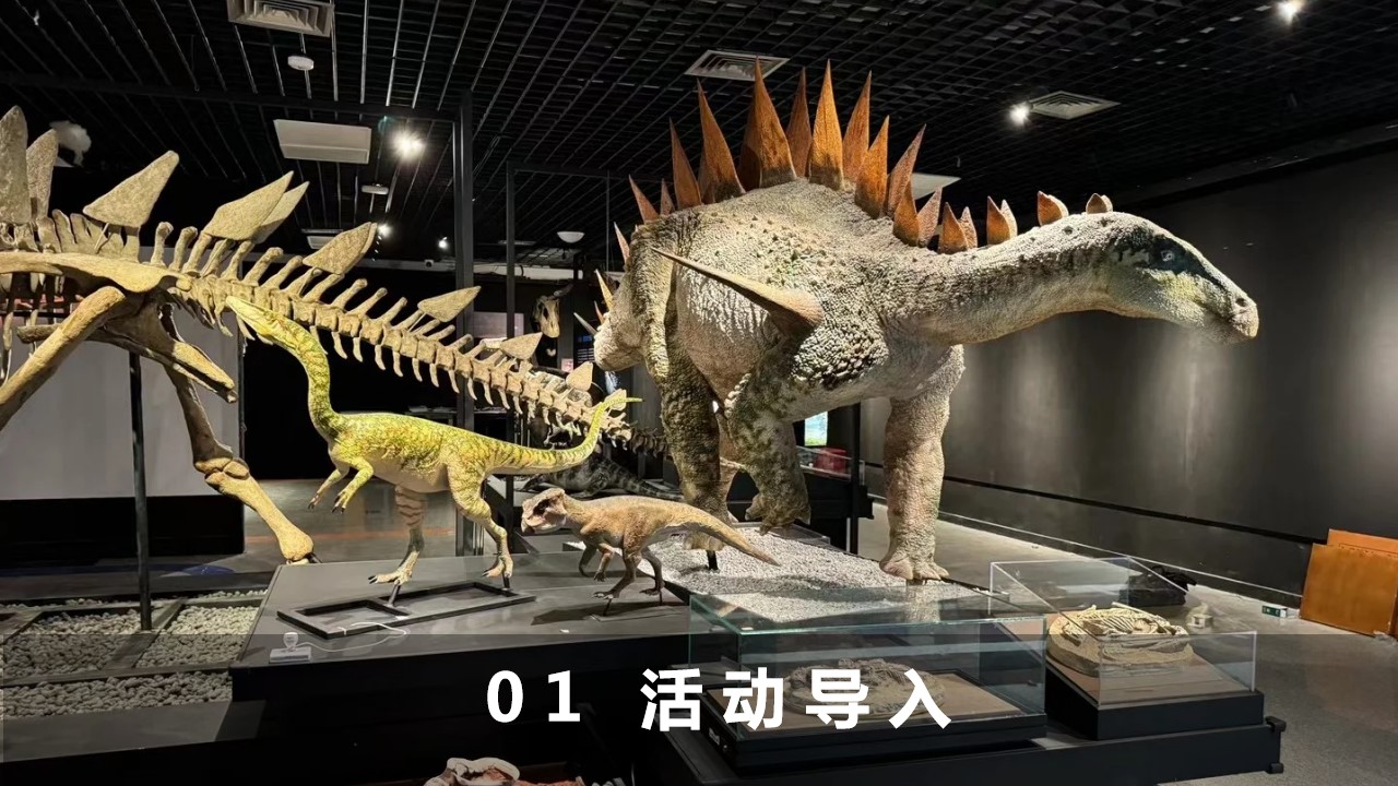 1728611738 50e3092c82ce78d - 地产探秘恐龙星球文化节主题巡展展览活动策划案