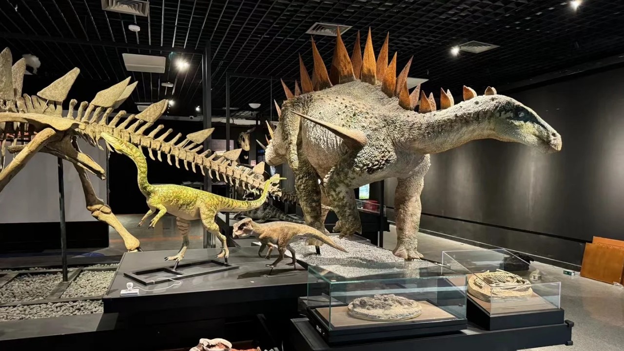 1728611776 d14efb4b491c1b2 - 地产探秘恐龙星球文化节主题巡展展览活动策划案