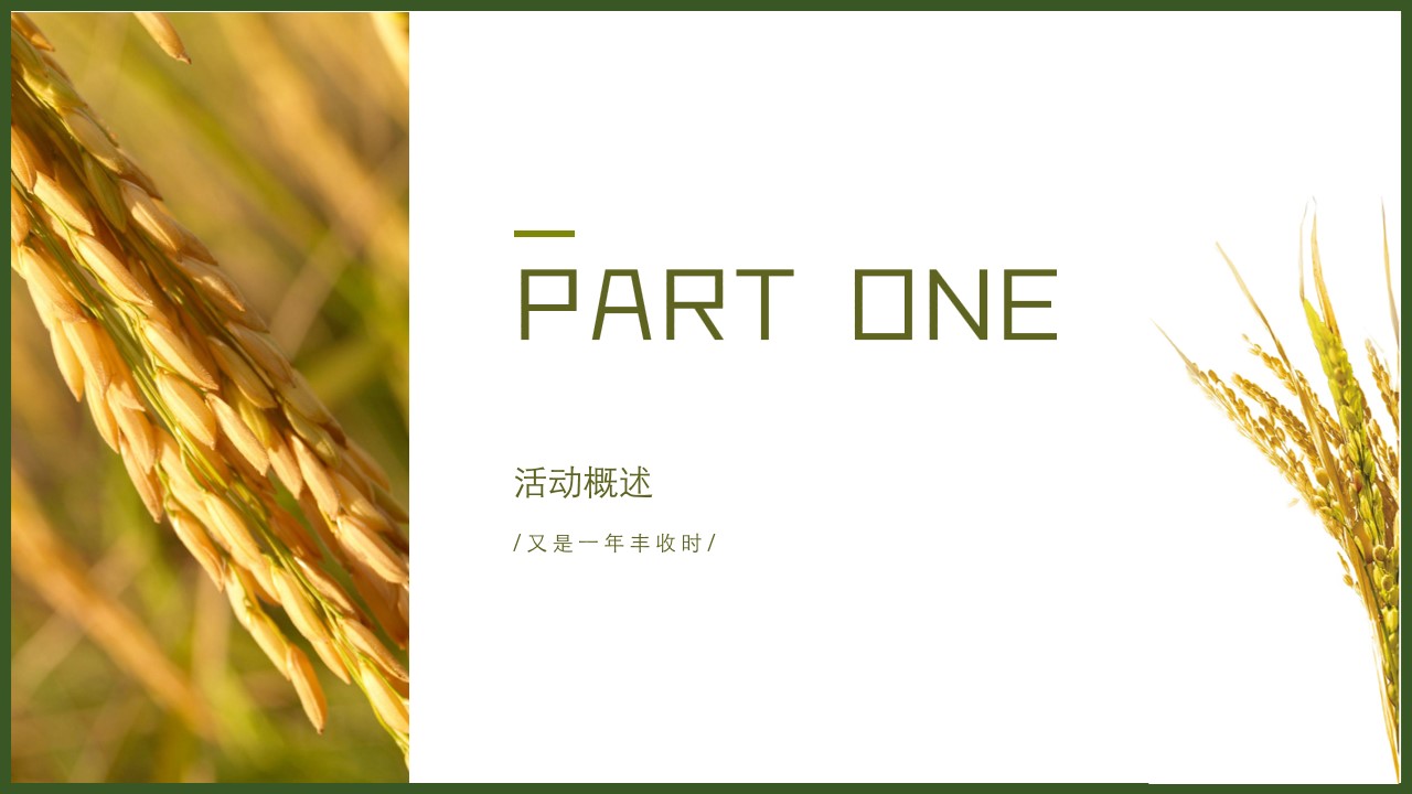 1728611855 dcfa053177d01f6 - 丰收节亲子稻田地产生活节-游园会-运动会活动策划方案