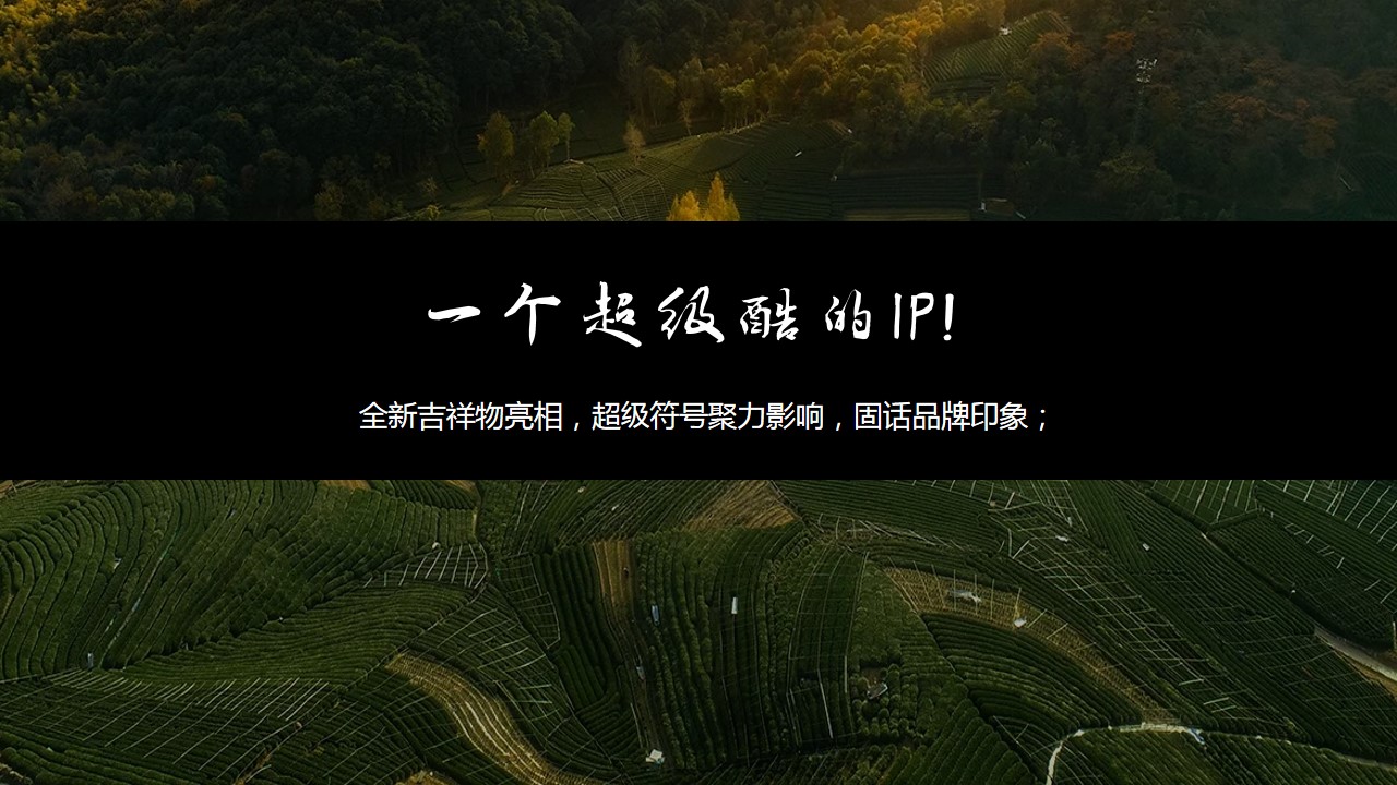 1730427914 a5edf932cf9929b - 【龙坞Tea计划】茶文化节集市市集活动策划方案