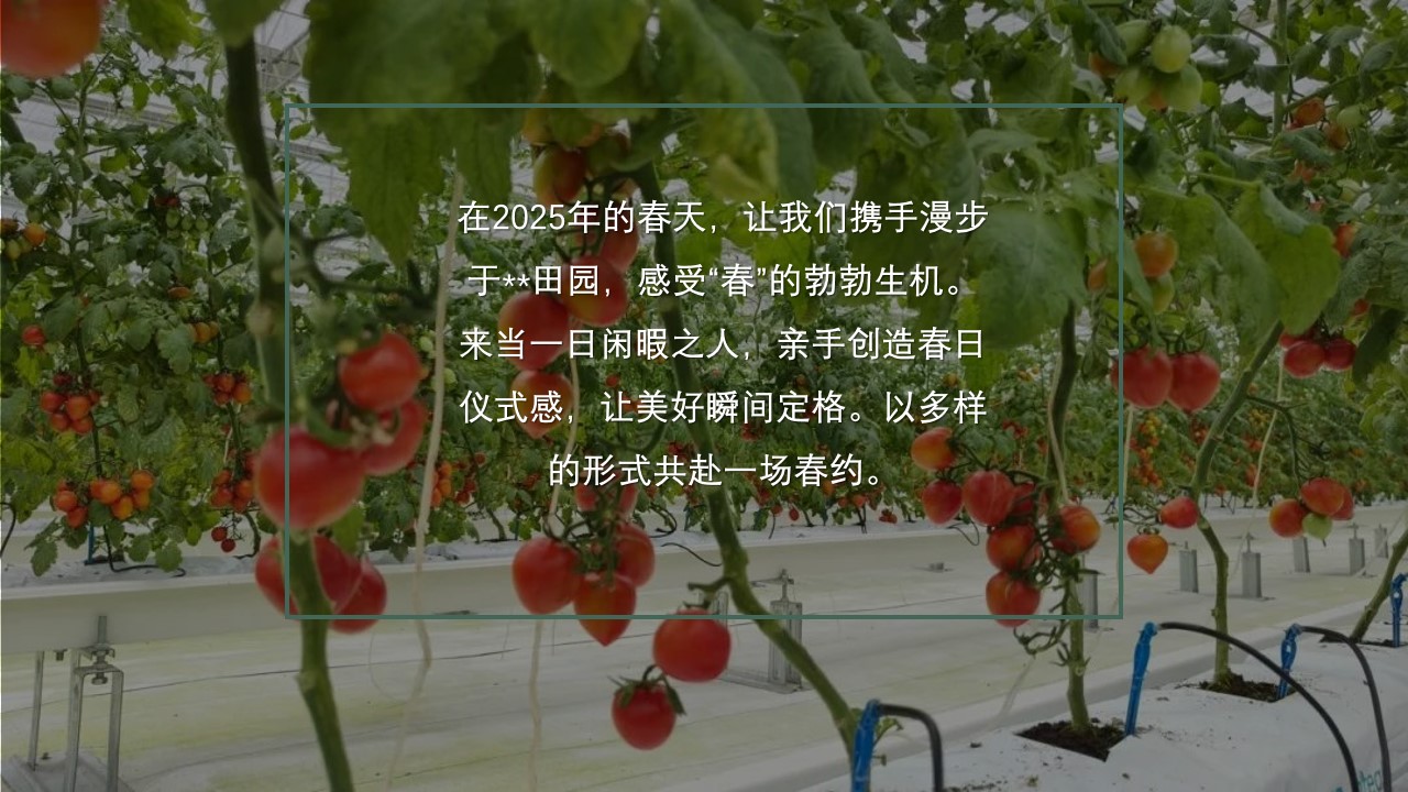 1740020387 dcfa053177d01f6 - 春季趣玩草坪运动露营派对春日番茄研学团建手工地产活动策划方案