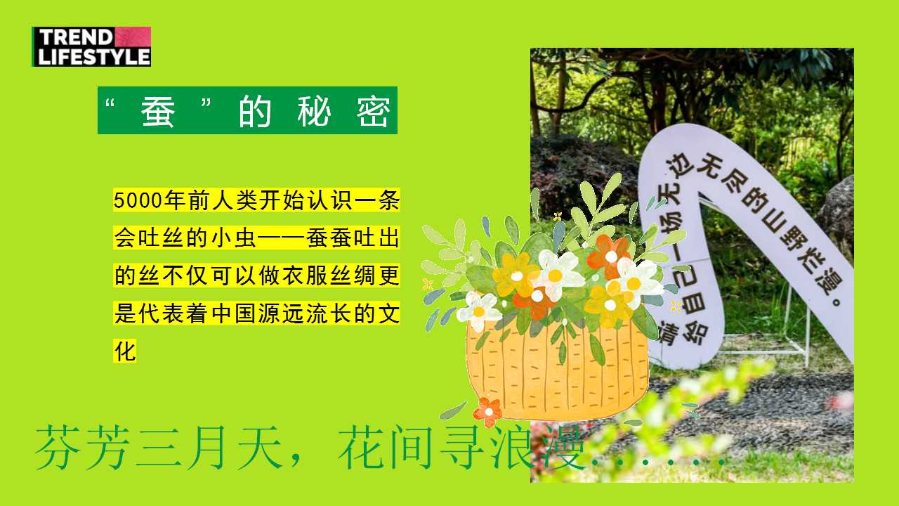 1742436512 dcfa053177d01f6 - “蚕宝探秘·丝路启蒙“蚕宝宝游戏美食工坊手作地产游园会活动策划方案