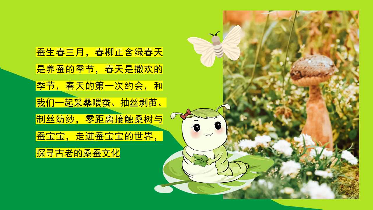 1742436520 a226fd4163bf13c - “蚕宝探秘·丝路启蒙“蚕宝宝游戏美食工坊手作地产游园会活动策划方案