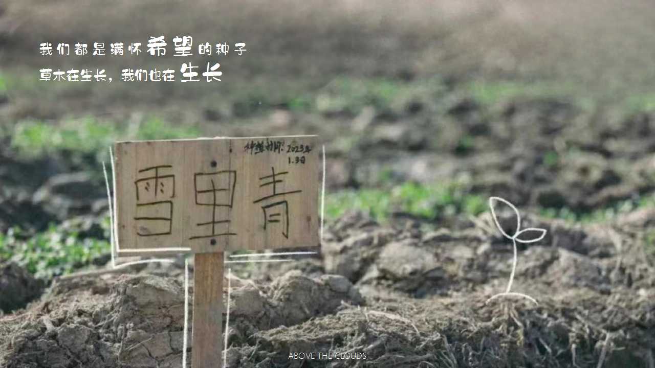1742522129 dcfa053177d01f6 - 【云起有点田 乐当农场主】业主专属农场欢乐开园