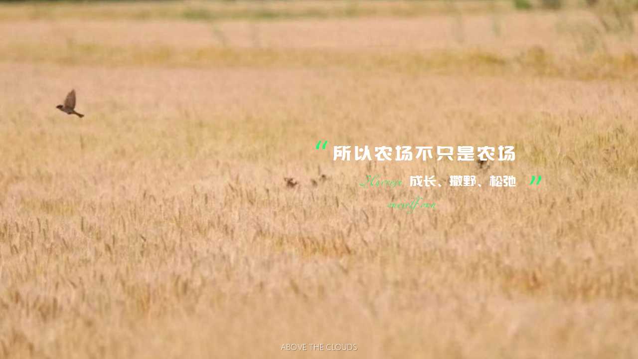 1742522138 a226fd4163bf13c - 【云起有点田 乐当农场主】业主专属农场欢乐开园